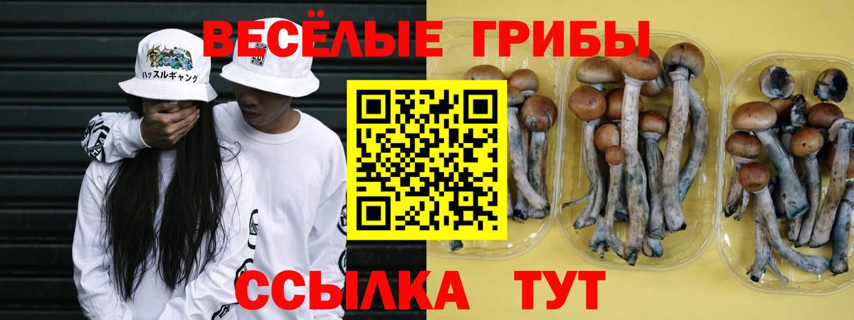 Ижевск  Галлюциногенные грибы MAGIC MUSHROOMS  Псилоцибиновые грибы GOLDEN TEACHER  Вход с VPN 